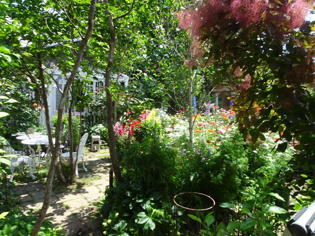 DSC00508