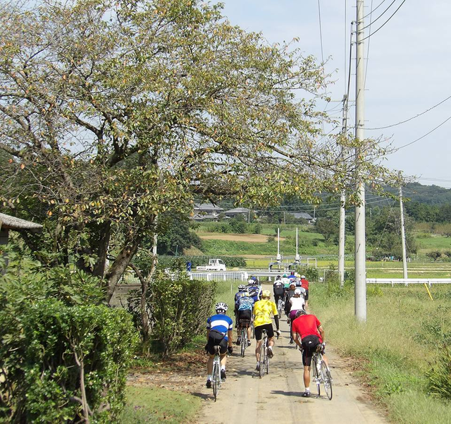 21687895_1495489683862988_323075759162394103_n