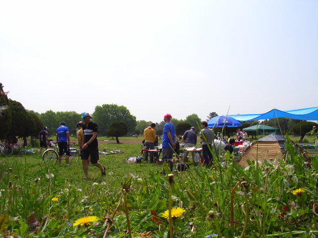 078a5e97.jpg
