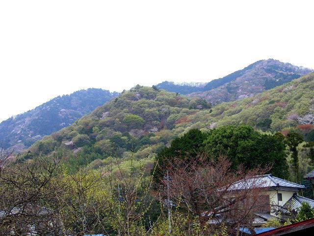 0d0a90b8.jpg