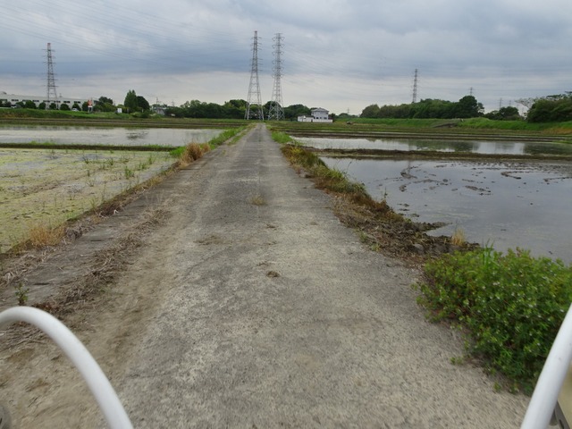 DSC00455