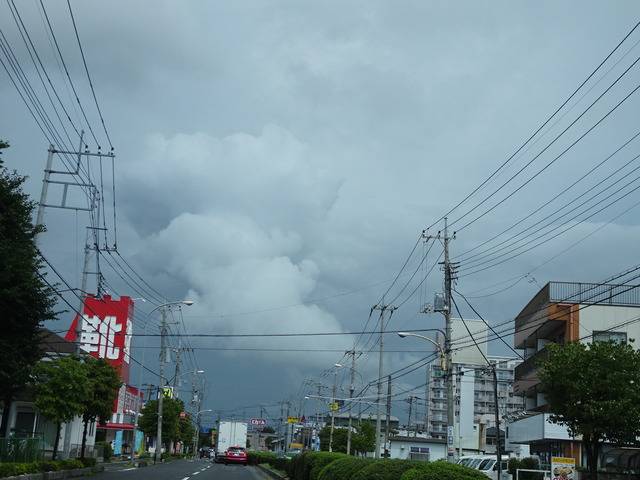 DSC06366