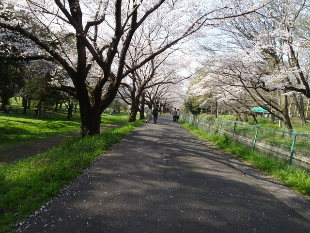 DSC00175