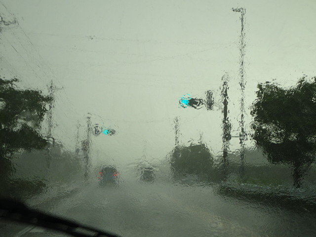 DSC06379