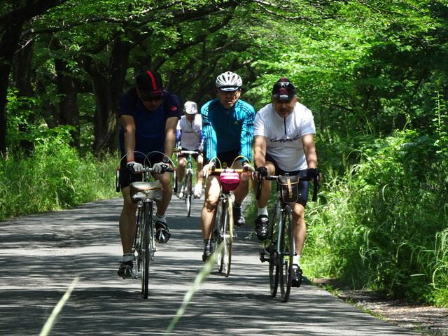 DSC02617