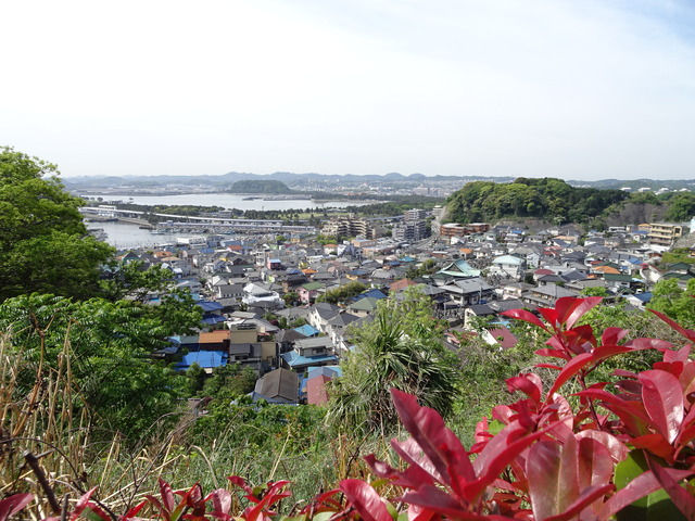 DSC04856