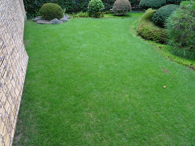 DSC03957