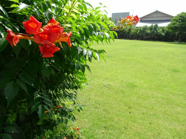 DSC05742