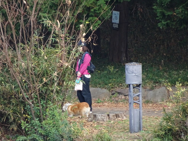 DSC02761