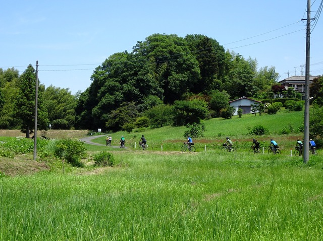 DSC02886