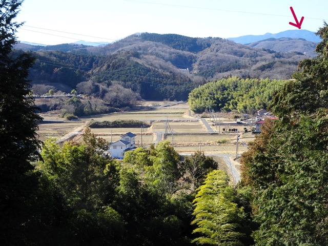 DSC00738