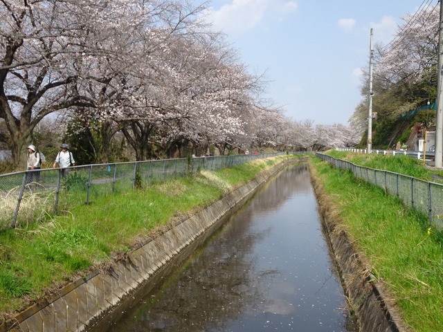 DSC00151