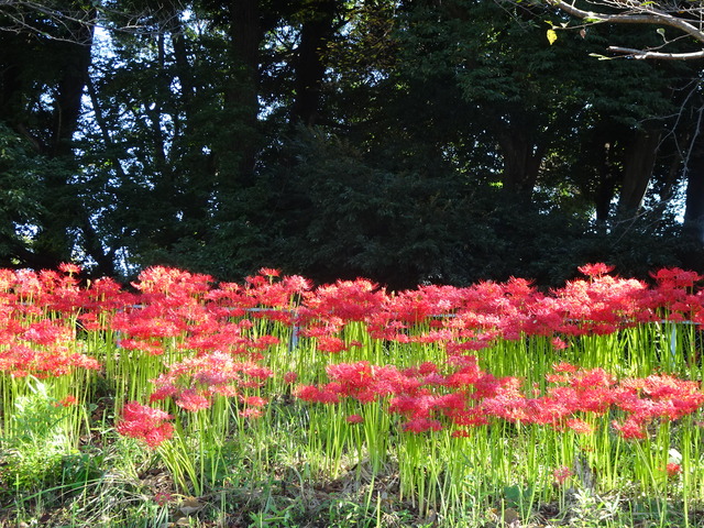 DSC02513