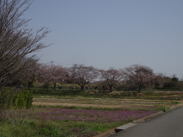DSC09904