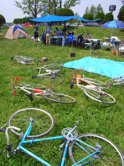 22cff058.jpg