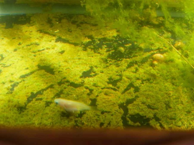 RIMG0114