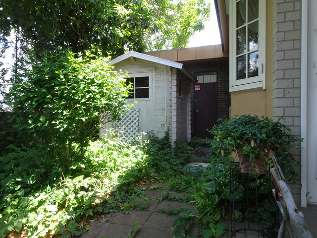 DSC00506
