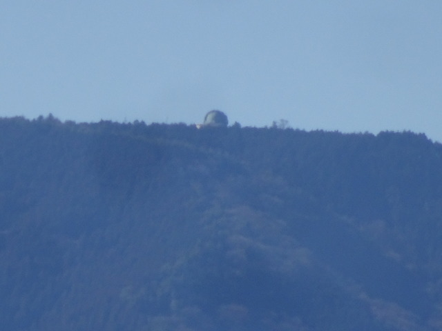 DSC00740