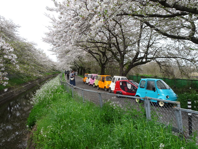 DSC00263