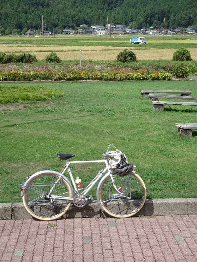 DSC08236