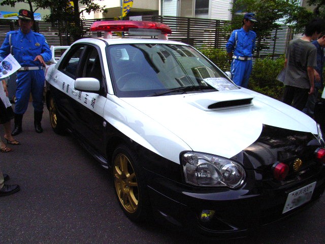 2e69451a.jpg