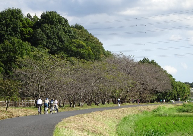 DSC09116