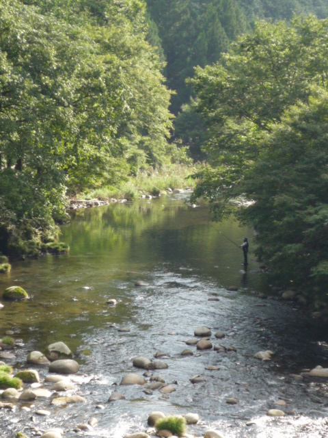 2f2d1431.jpg