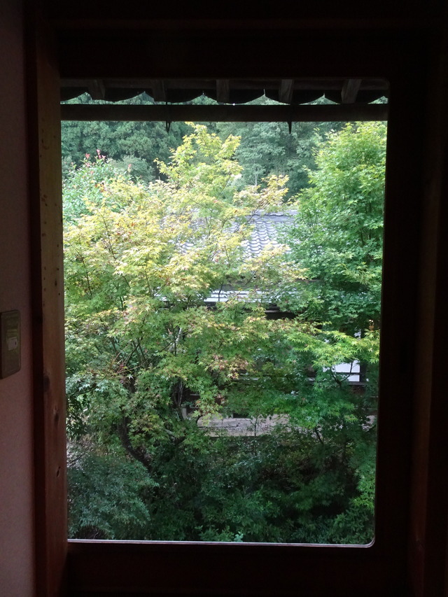 DSC08099