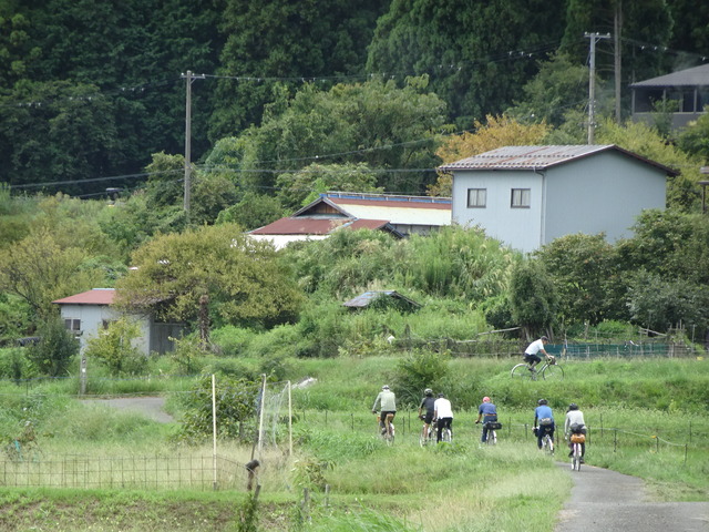 DSC08219