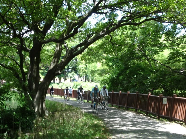 DSC04608 (2)