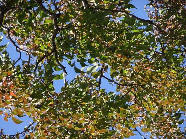DSC02796