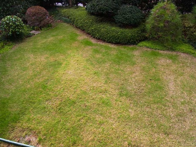 RIMG1266