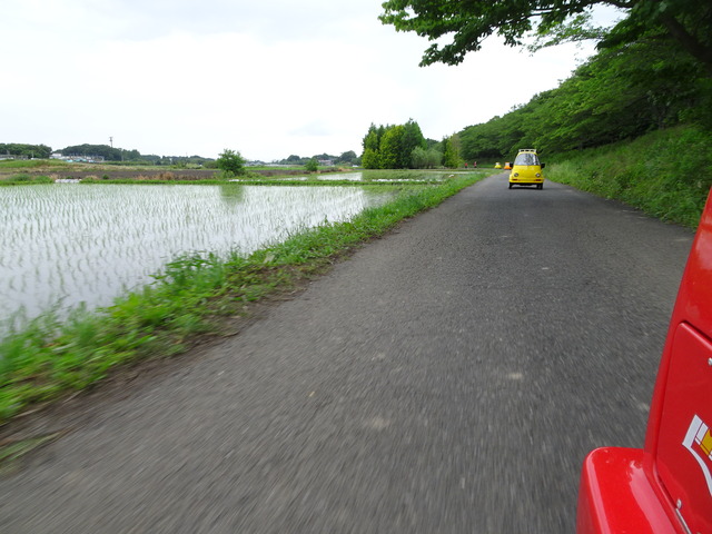 DSC00816