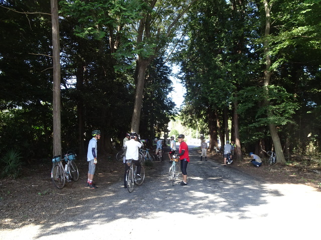 DSC09105