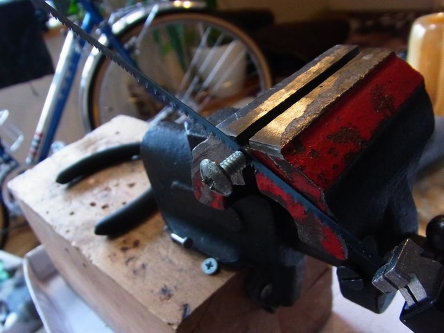 RIMG0421