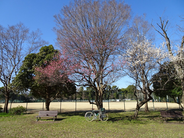DSC01104