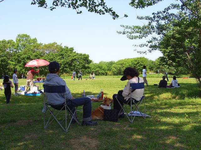 39475c59.jpg
