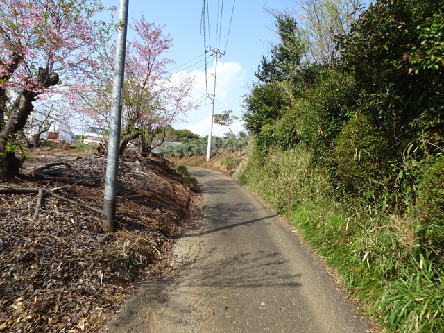 DSC00165