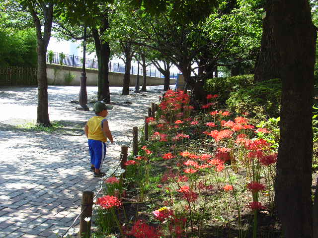 3a4e4003.jpg