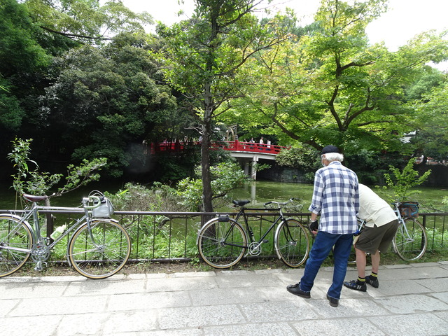 DSC04650