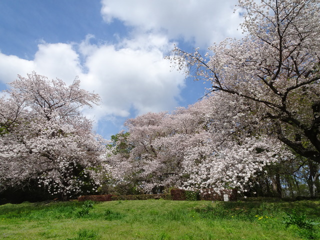 DSC00280