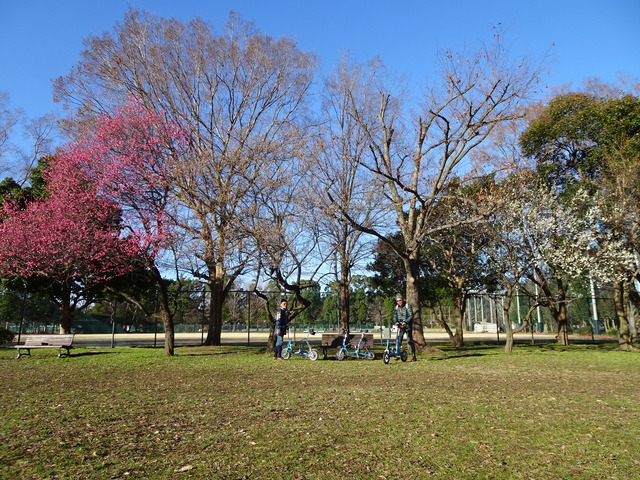 DSC09509