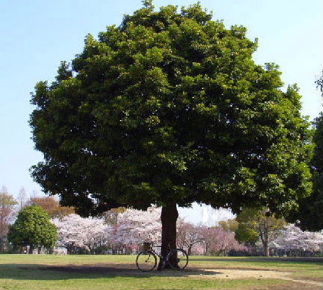 4032fec4.jpg