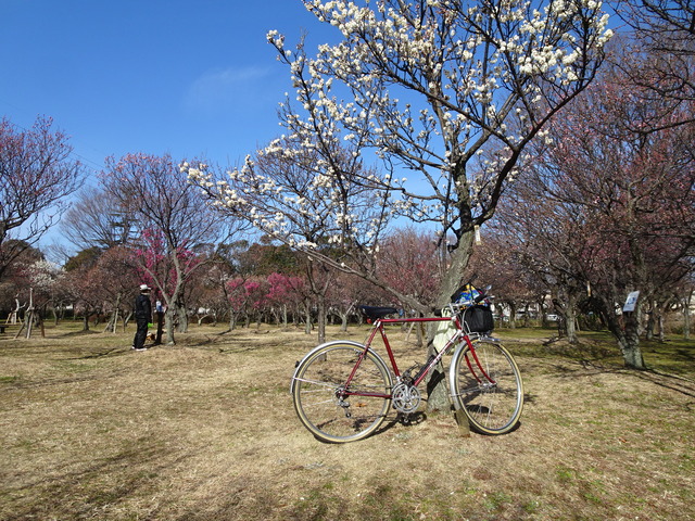 DSC09570
