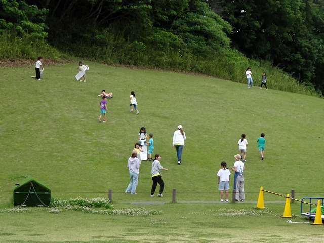 DSC02308