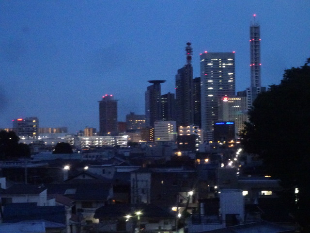 DSC00995