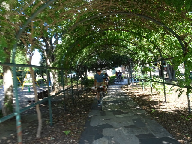 DSC00780