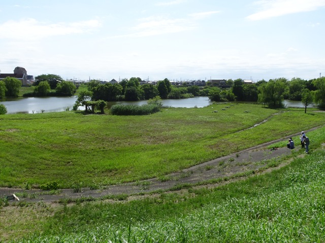 DSC00714