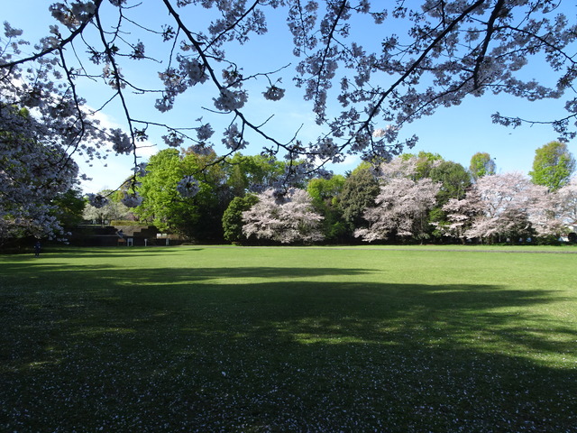 DSC00216