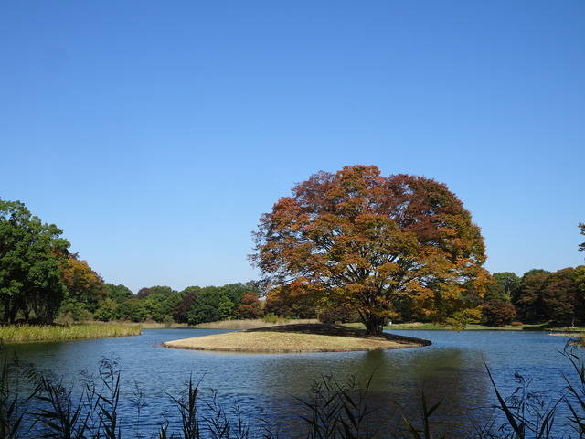 DSC02730